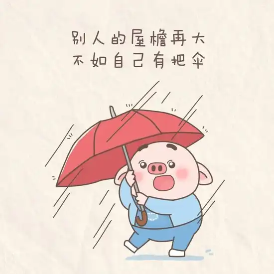 高清VPSWINDOWS69第5集